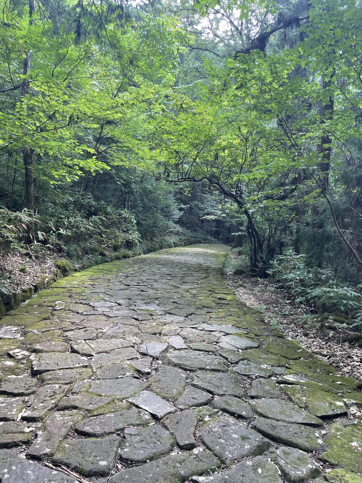 中山道ちょこっと散歩