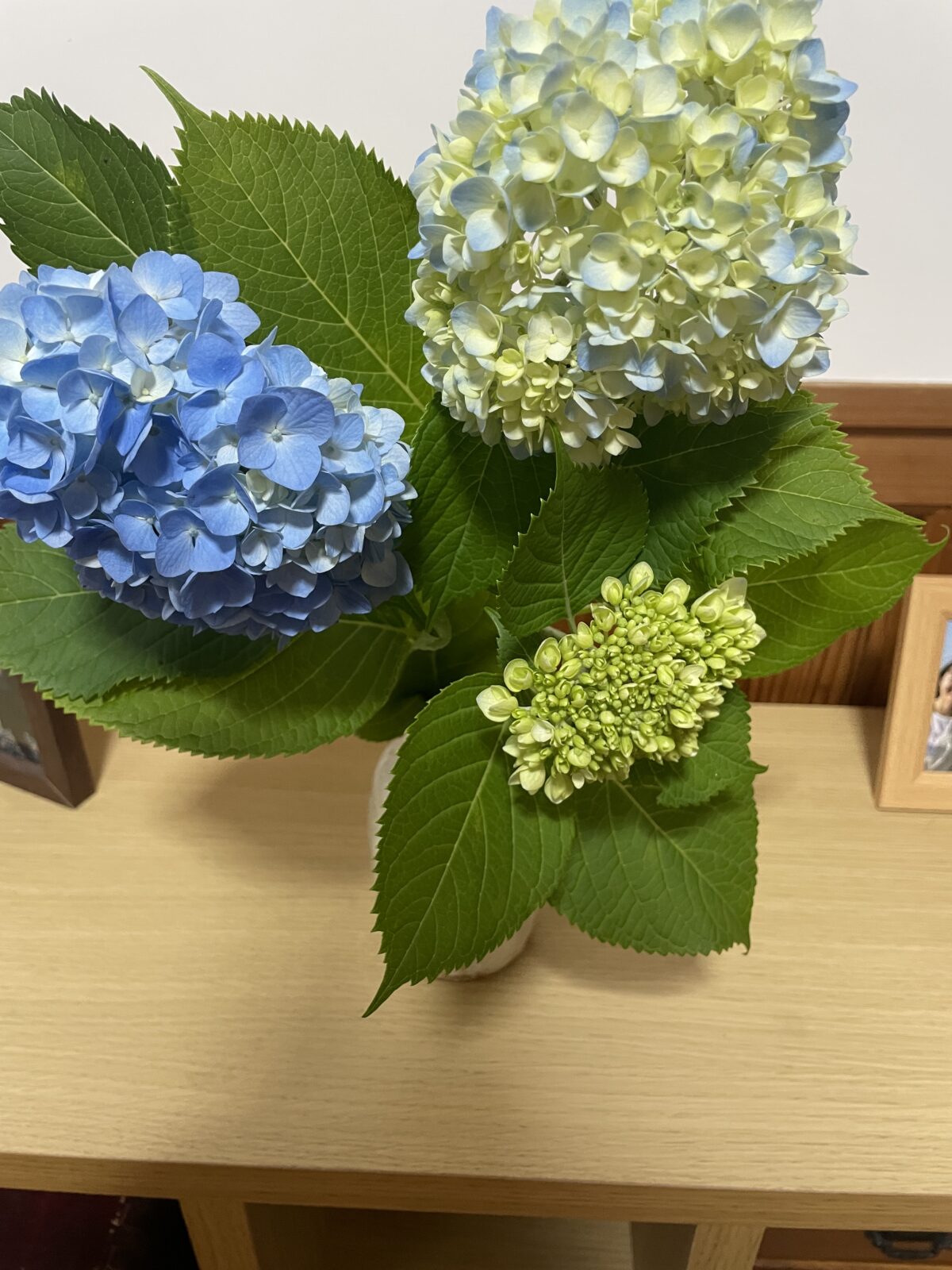 父、急回復⤴
