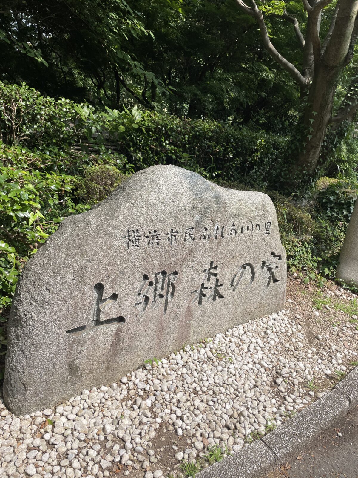 横浜での夏合宿
