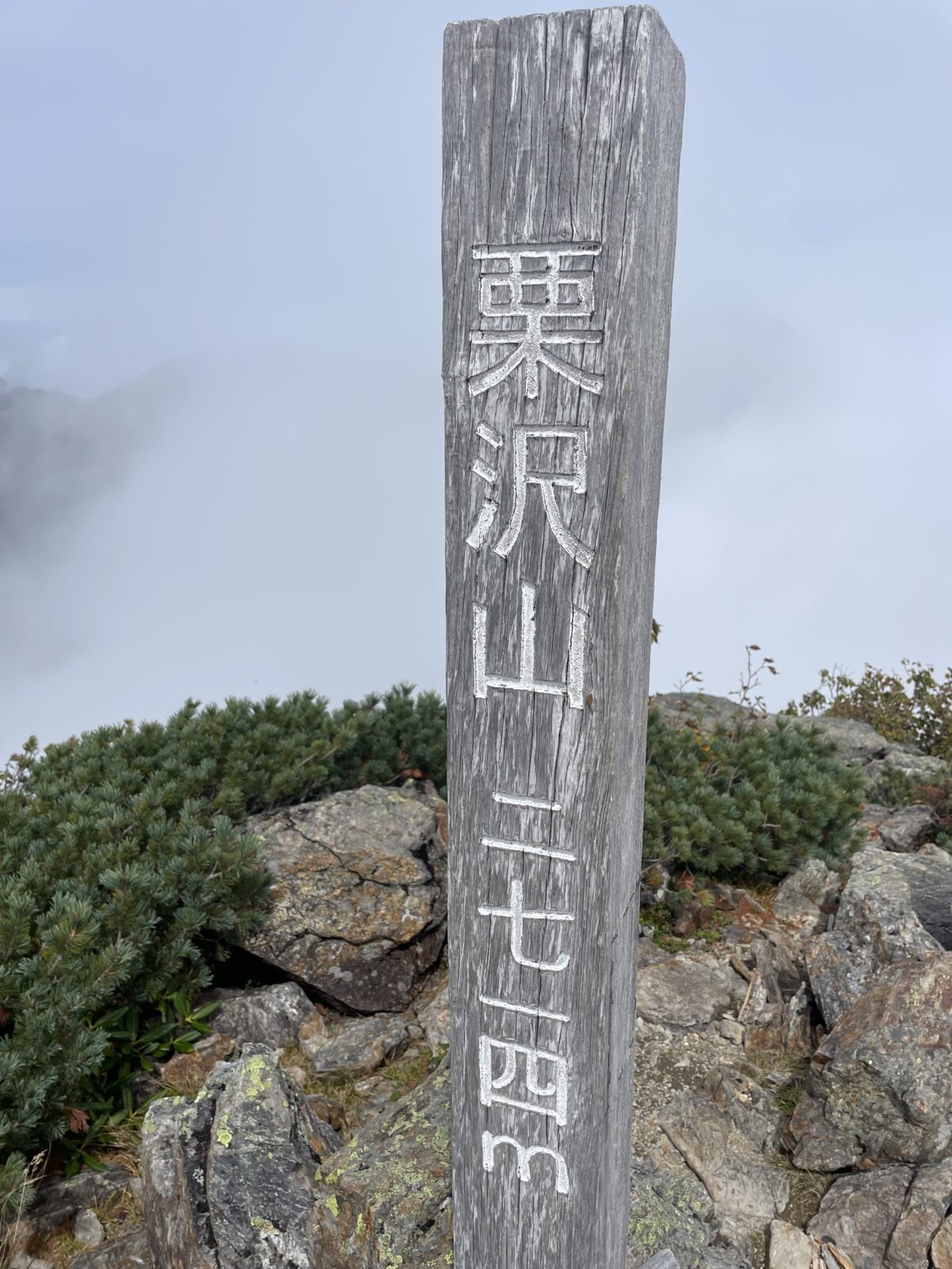 小屋から山頂まで行けました