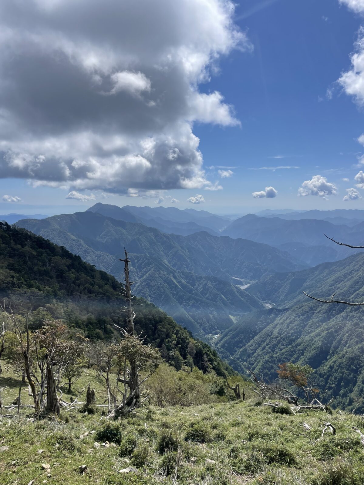 山梨の山、清水の山