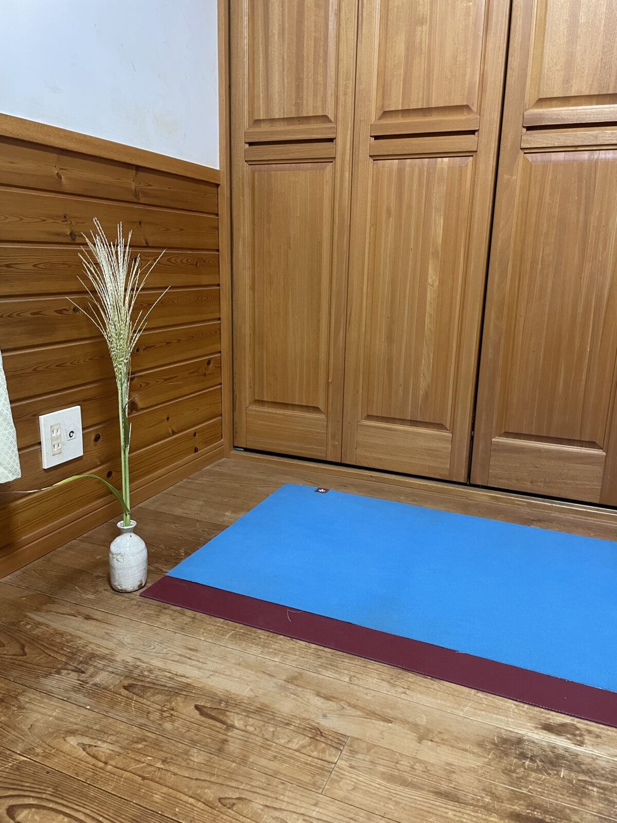 今日の感覚より