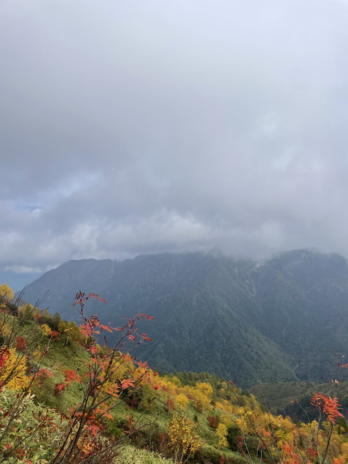 膝痛はヨガで克服!