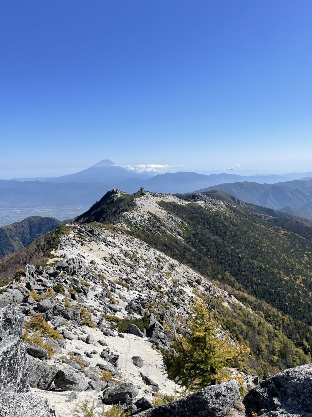 紅葉の南アルプス