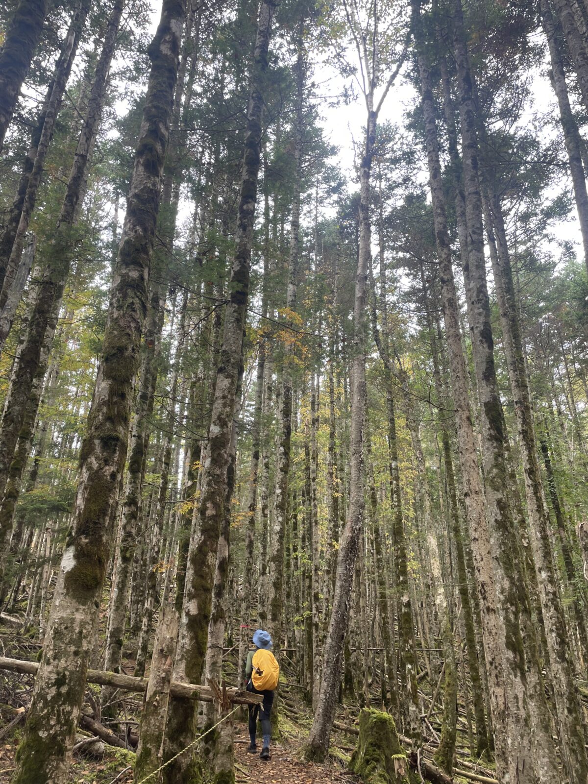 両方あると分かってる!?