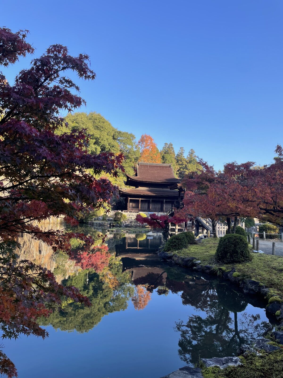 多治見に行ってました