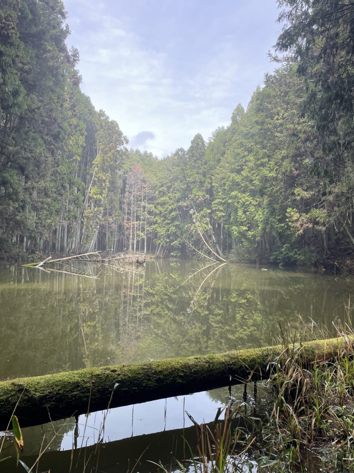 今週のいろいろ