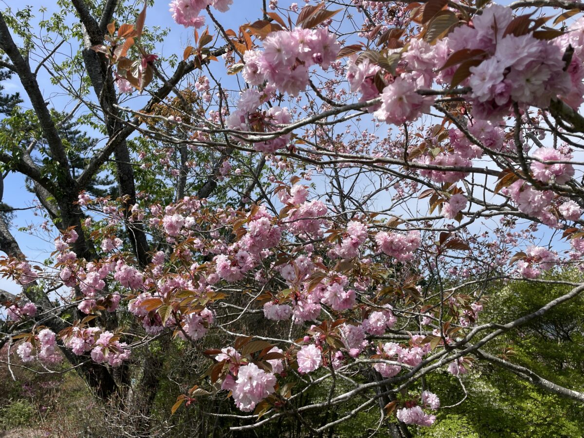 自らの呼吸、どうですか？